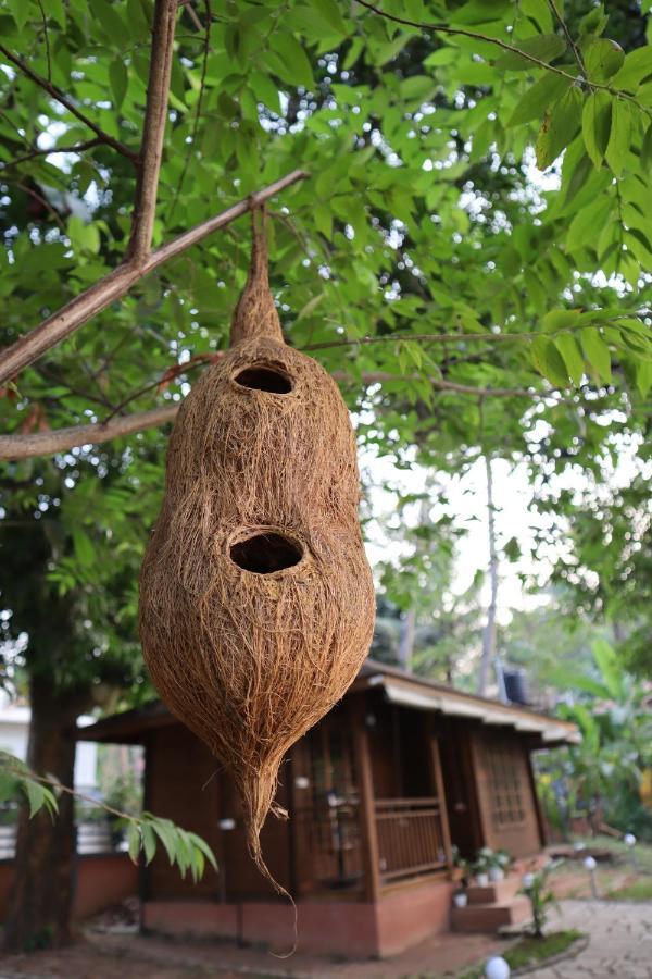Greenchromide Homestays Mundrothuruth Exteriör bild